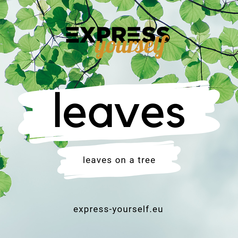 words-with-multiple-meanings-leaves-express-yourself